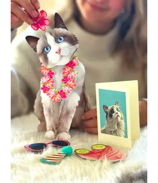 Fresh Cut Paper Ragdoll Cat Pop-Up Card