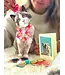 Fresh Cut Paper Ragdoll Cat Pop-Up Card