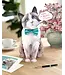 Fresh Cut Paper Ragdoll Cat Pop-Up Card