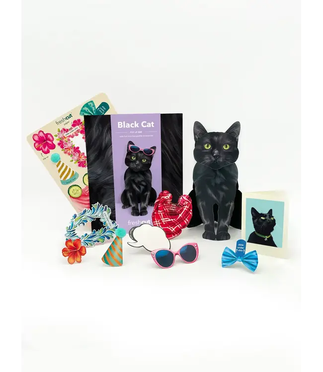 Fresh Cut Paper Black Cat Pop-Up Card
