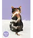 Fresh Cut Paper Calico Cat Pop-Up Card