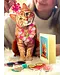 Fresh Cut Paper Orange Tabby Cat Pop-Up Card