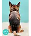 Fresh Cut Paper German Shepherd Pop-Up Card