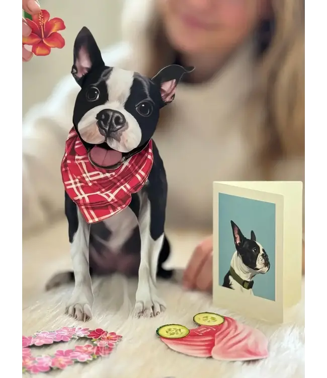 Fresh Cut Paper Boston Terrier Pop-Up Card