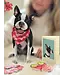 Fresh Cut Paper Boston Terrier Pop-Up Card