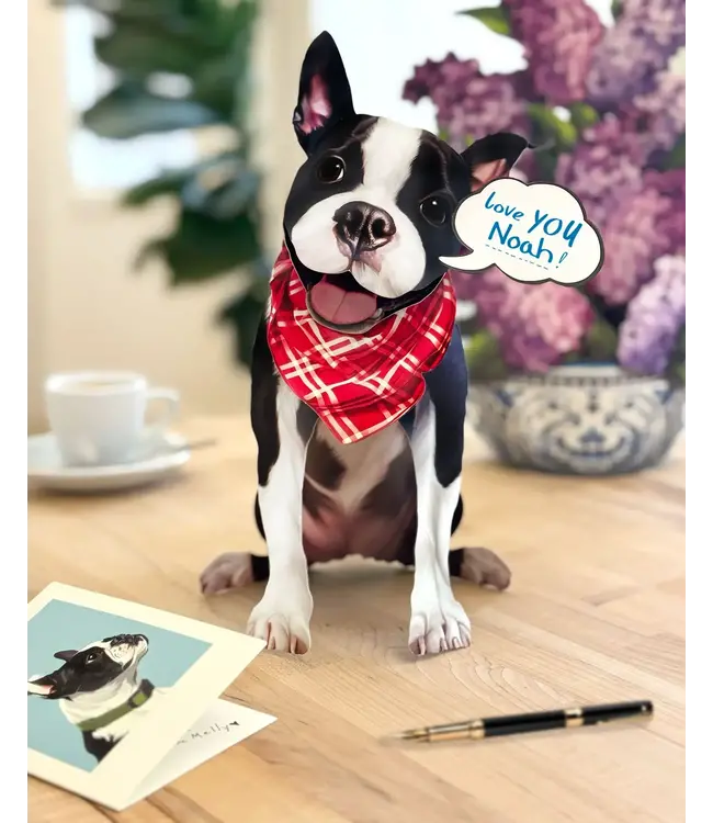 Fresh Cut Paper Boston Terrier Pop-Up Card