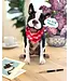 Fresh Cut Paper Boston Terrier Pop-Up Card