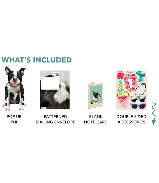 Fresh Cut Paper Boston Terrier Pop-Up Card