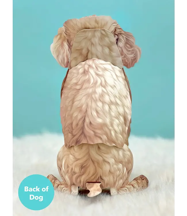 Fresh Cut Paper Poodle Pop-Up Card