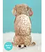 Fresh Cut Paper Poodle Pop-Up Card