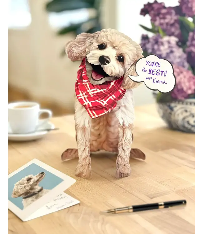 Fresh Cut Paper Poodle Pop-Up Card