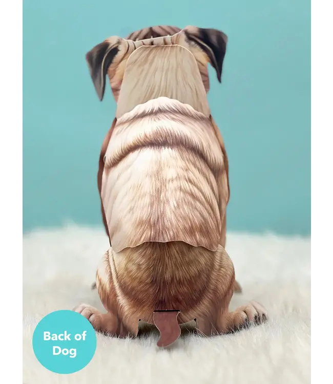 Fresh Cut Paper Pug Pop-Up Card