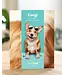 Fresh Cut Paper Corgi Pop-Up Card