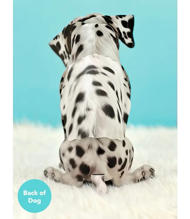 Fresh Cut Paper Dalmatian Pop-Up Card
