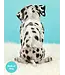 Fresh Cut Paper Dalmatian Pop-Up Card
