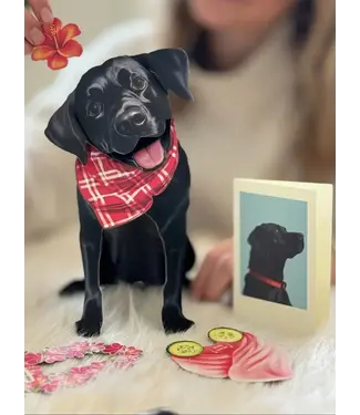Fresh Cut Paper Black Lab Pop-Up Card