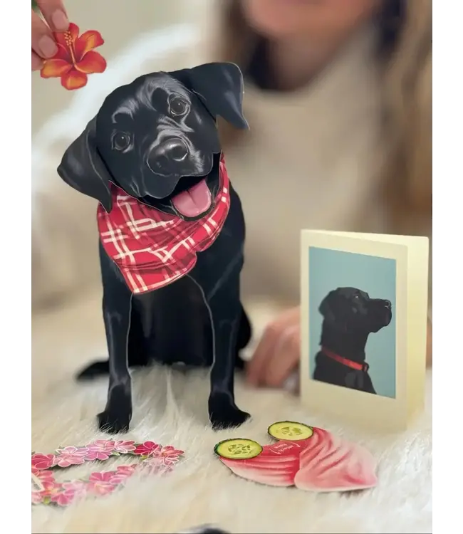 Fresh Cut Paper Black Lab Pop-Up Card
