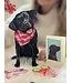 Fresh Cut Paper Black Lab Pop-Up Card