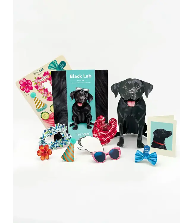 Fresh Cut Paper Black Lab Pop-Up Card