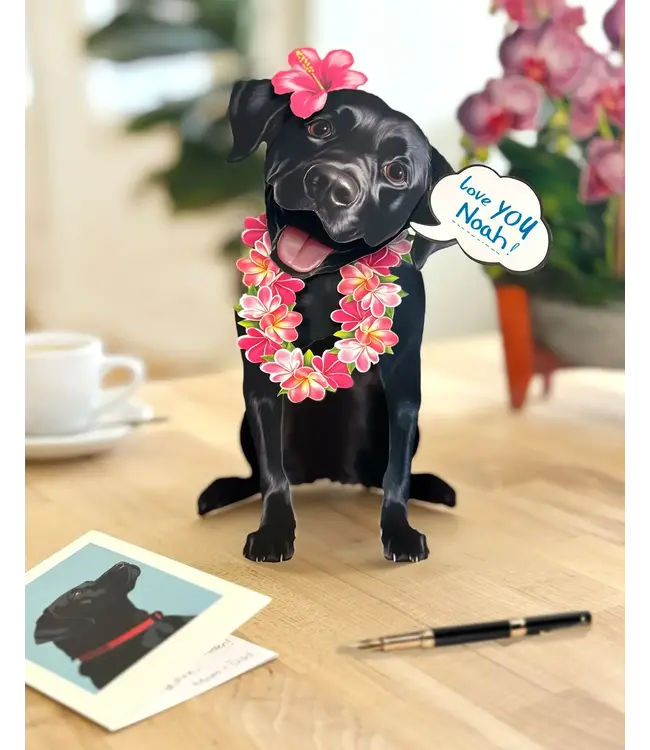 Fresh Cut Paper Black Lab Pop-Up Card