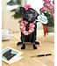 Fresh Cut Paper Black Lab Pop-Up Card