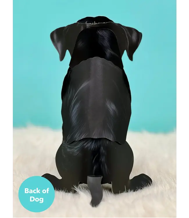 Fresh Cut Paper Black Lab Pop-Up Card