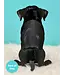 Fresh Cut Paper Black Lab Pop-Up Card
