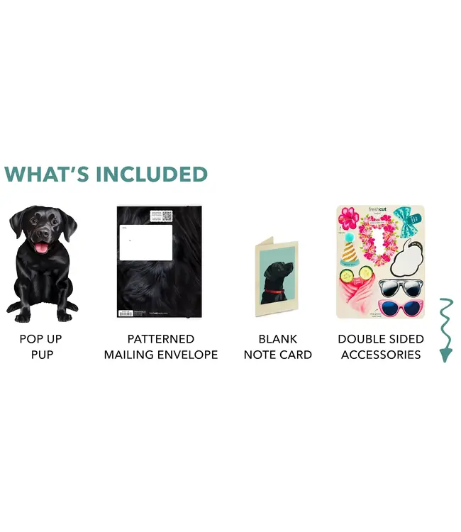 Fresh Cut Paper Black Lab Pop-Up Card