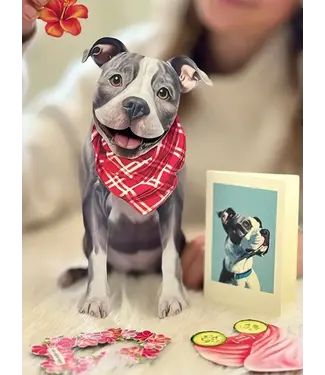 Fresh Cut Paper Pit Bull Pop-Up Card