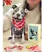 Fresh Cut Paper Pit Bull Pop-Up Card