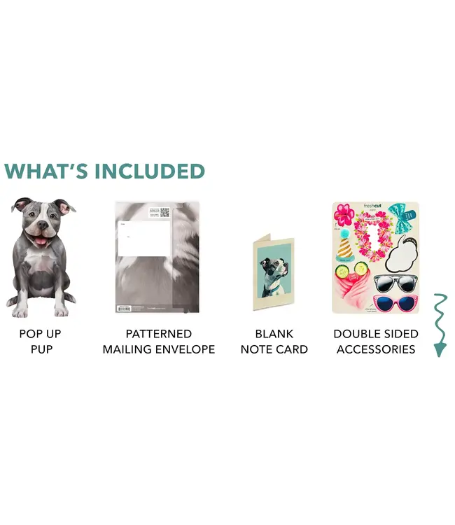 Fresh Cut Paper Pit Bull Pop-Up Card