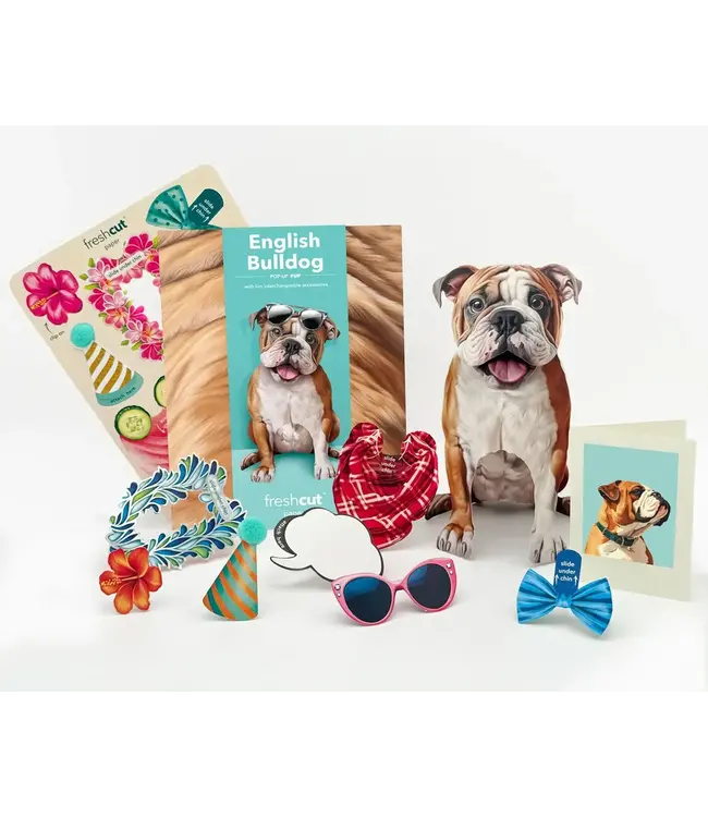 Fresh Cut Paper English Bulldog Pop-Up Card
