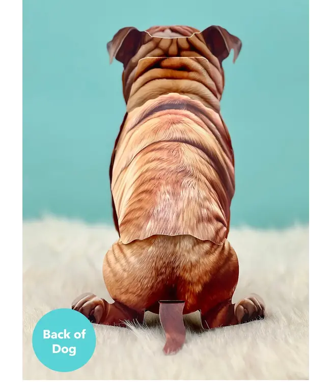 Fresh Cut Paper English Bulldog Pop-Up Card