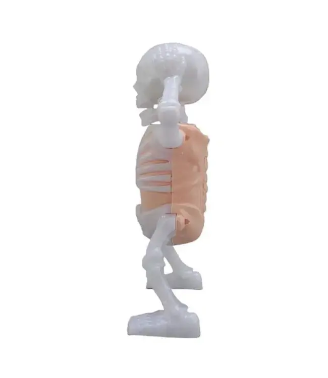 PARTY ON Skellyvibes Glow-in-The-Dark Dancing Skeleton - Lights Up & Laughs!