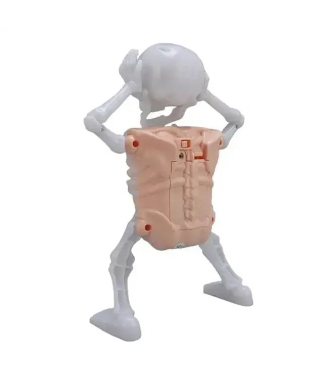 PARTY ON Skellyvibes Glow-in-The-Dark Dancing Skeleton - Lights Up & Laughs!