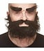 MUSTACHES MUSTACHE, BEARD, EYEBROWS BLACK