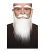 MUSTACHES MUSTACHE, BEARD, EYEBROWS WHITE
