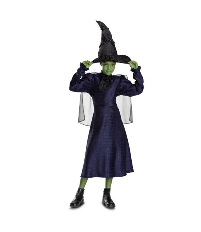 DISGUISE ELPHABA DRESS CLASSIC