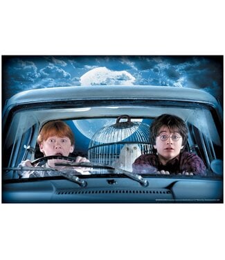 RUBIES HARRY & RON WINDOW COVER