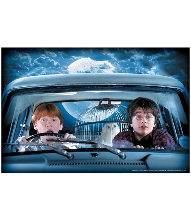 RUBIES HARRY & RON WINDOW COVER