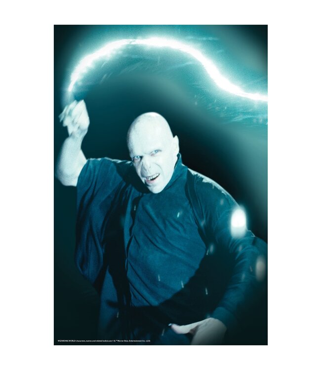 RUBIES VOLDEMORT WINDOW COVER