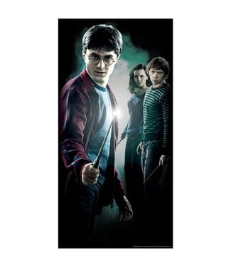 RUBIES HARRY POTTER DOOR COVER
