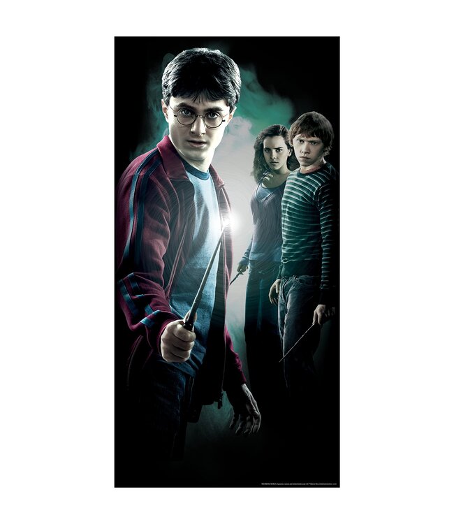 RUBIES HARRY POTTER DOOR COVER