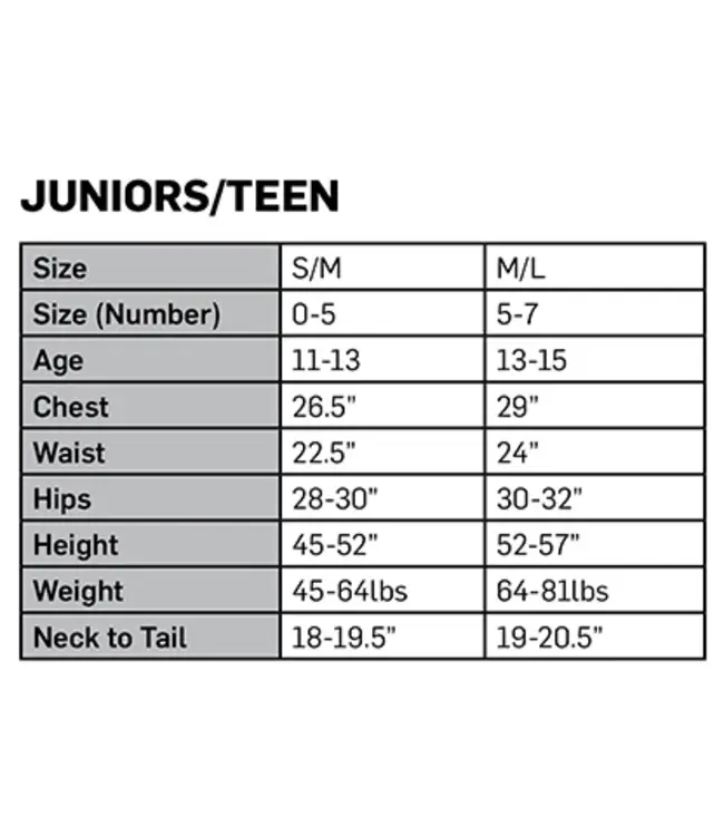 LEG AVENUE Rockin' Racoon Costume - Junior