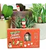 GIFT REPUBLIC Festive Plant Markers, Festive Gnomes - 4 Count