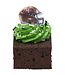 DECOPAC NFL Team Helmet Cupcake Rings - 12 Count