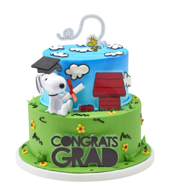 BAKERY CRAFTS Graduation Diploma with Red Ribbon - 12 Count