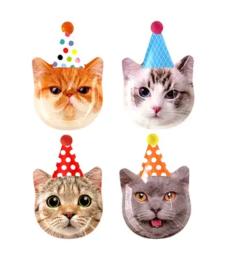 GLOCO ACCENTS 8CT SHAPED PLATE CAT PARTY