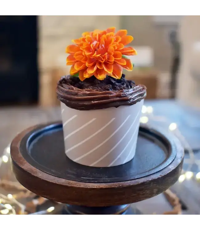 SWEET DIVIDE Small 3 oz Paper Baking & Snack Cups - Tonal White - 25 Pk