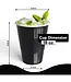 CROWN DISPLAY 18 Oz. Black Plastic Cups - 50 Ct.